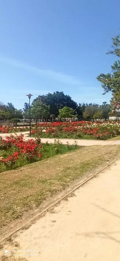 말라가 El Balcon De Huelin 아파트 0*,